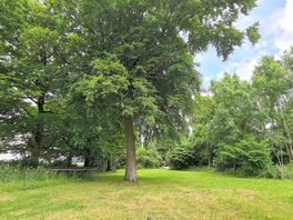 Large woodland pitch