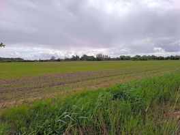 Adjacent field