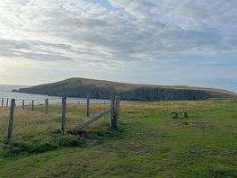 Cardigan island