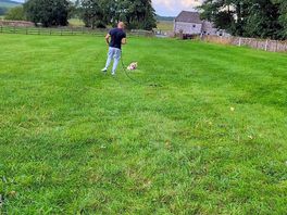 Lots of space with frenchie approved grass