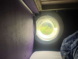 View from bunk bed