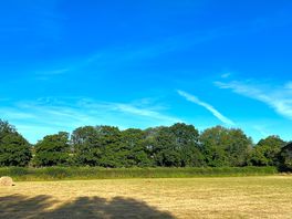 View from the yurt