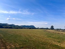 Nearby walk
