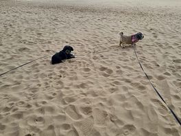 Tenby