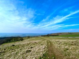 Local walk