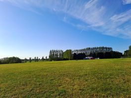 View across the camping field from our pitch