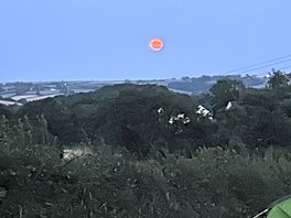 Full moon