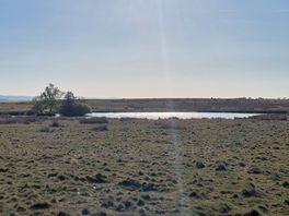 Plenty of birdlife