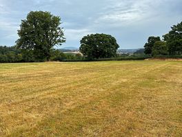 Clear meadow