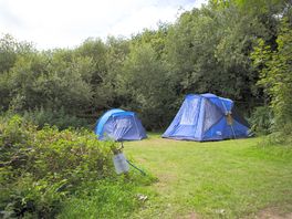 XL secluded grass tent pitch