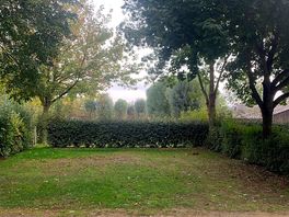 Our pitch
