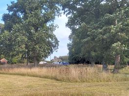 Our van in the tree