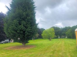 Site