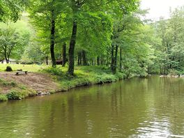River drone view