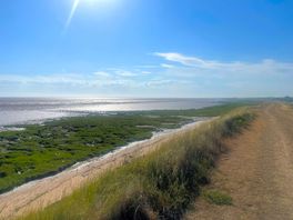 Humber estuary walks