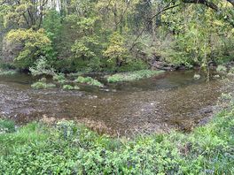 The river