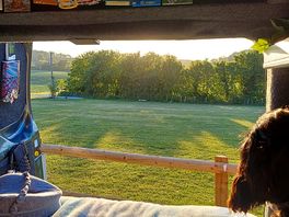 Evening view