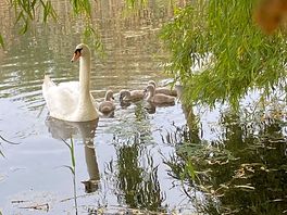 Local lakes