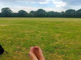 Manor farm