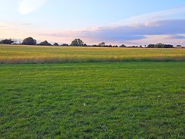 View across the field