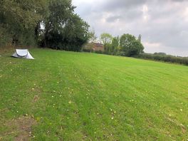 Level pitches