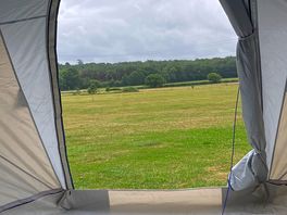 View across the fields to a view that includes horses and deer
