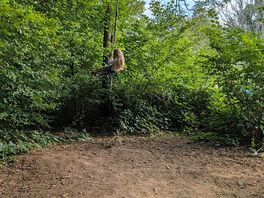 Rope swing a huge hit with the kids