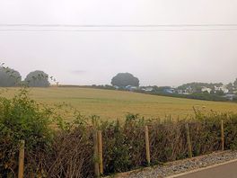The field opposite our tent where the bunnies played in the evening.