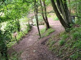 Walk to cabin