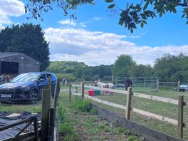 Looking at parking area from the cott