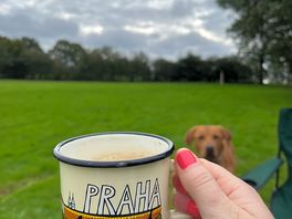 Morning coffee with the pitch to ourselves. ft. dog.