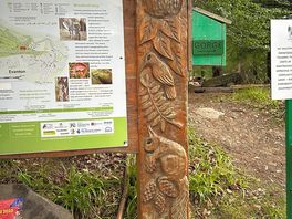 Woodland walk