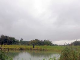 Nice little fishing lake