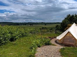 The tent