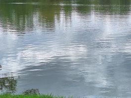 View of lake