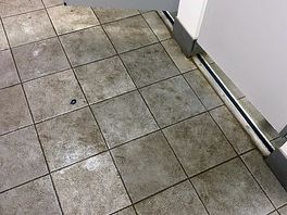 Dirty ladies toilets