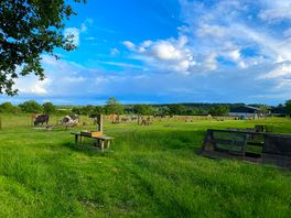 Campsite view with washing area