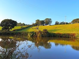 Lake view