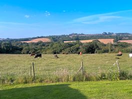 Great views
