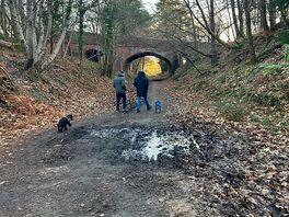 Old railway line great walk