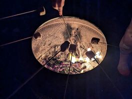 Toasting marshmallows