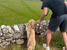 Views from the lovely walks! super dog friendly!