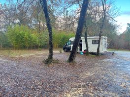 Tree lined site
