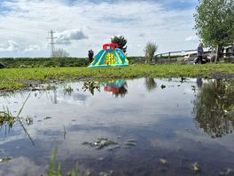 Boggy field