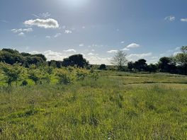 Sunny mornings
