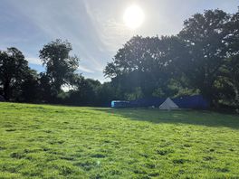 A sunny morning