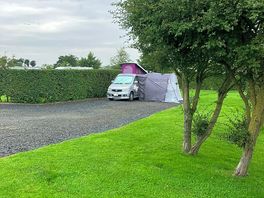 Lovely trees and hedging