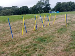 Plenty of space for some weave pole practice!