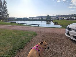 Our dog was in her element and would sit for hours just watching the fish come to the surface