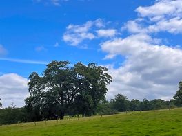 Lovely views